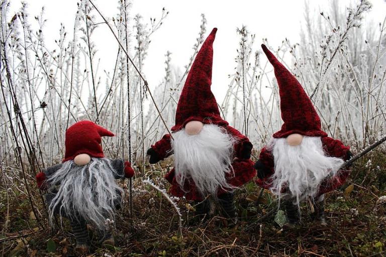 tomte