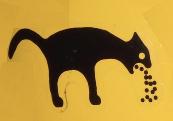 You Need To Know: Is Stepping In Cat Puke Is Part Of God’s Plan For ...