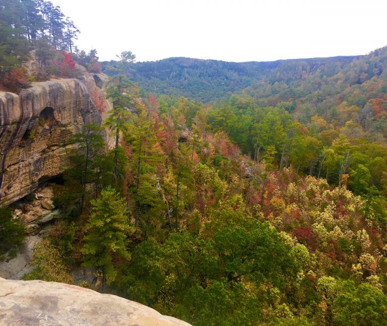rock walls and hills of Red River Gorge