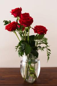 Photo by Lynda Sanchez: https://www.pexels.com/photo/photo-of-roses-on-flower-vase-2300713/