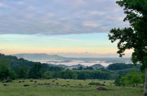 Sunrise over Russell County