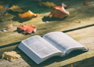 Bible open on table with leaves