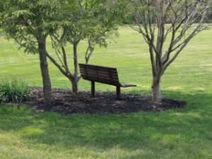 Empty bench representing suicide grief