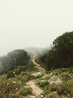 Our Path, His Plan - Vimarsana News