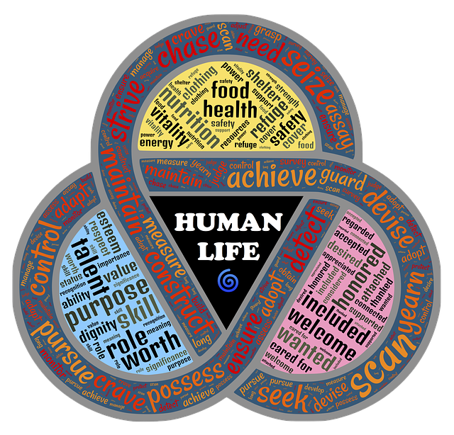 Maslow's Hierarchy Applied To Unplanned Pregnancies - Vimarsana News