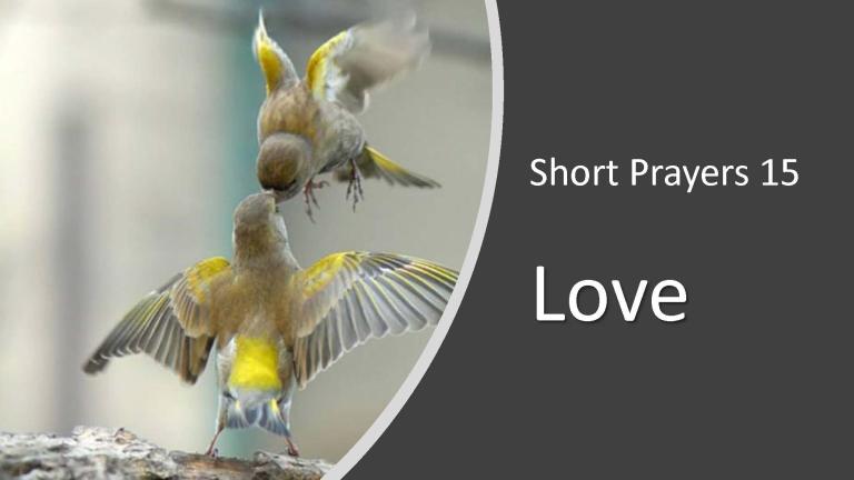 Short Prayers 15: Love | How Do I Love Thee?