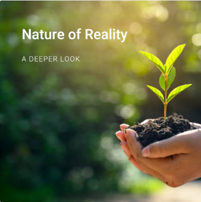 Nature of Reality image by Microsoft Designer