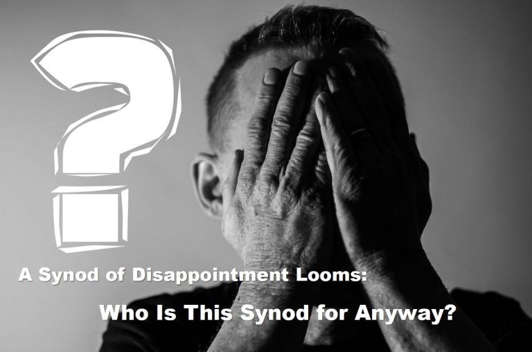 A Synod of Disappointment Looms: Who Is This Synod for Anyway? - Vimarsana News