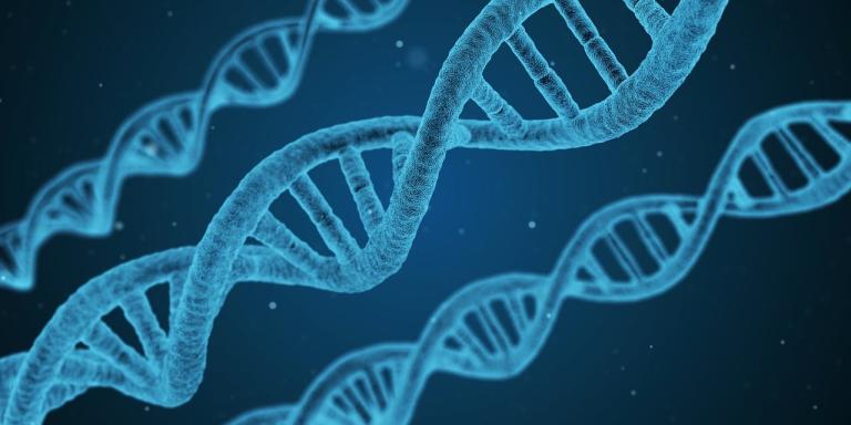 Thoughts On Intelligent Design - Vimarsana News