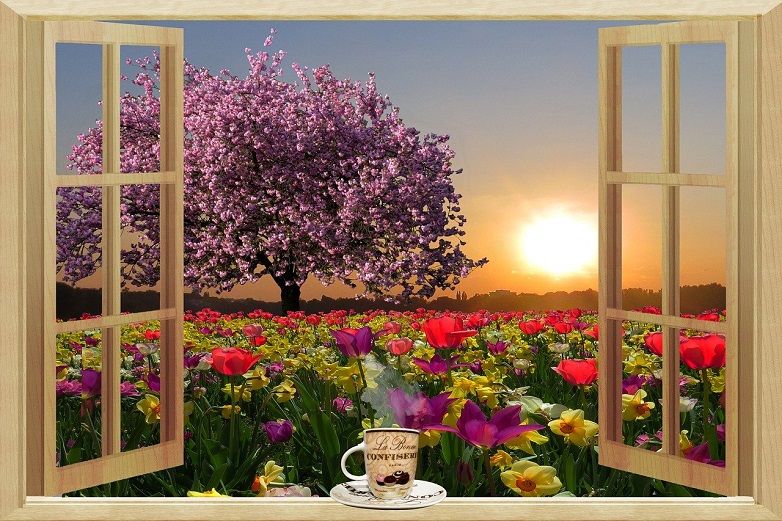 Open Your Soul with One-Word Prayer. Window opening to flowers and the morning sun. Cup of coffee and tree. Vivid colors.
