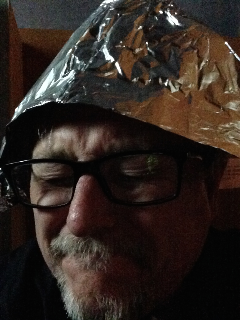 Tinfoil Hats And The Examined Life | David Breeden