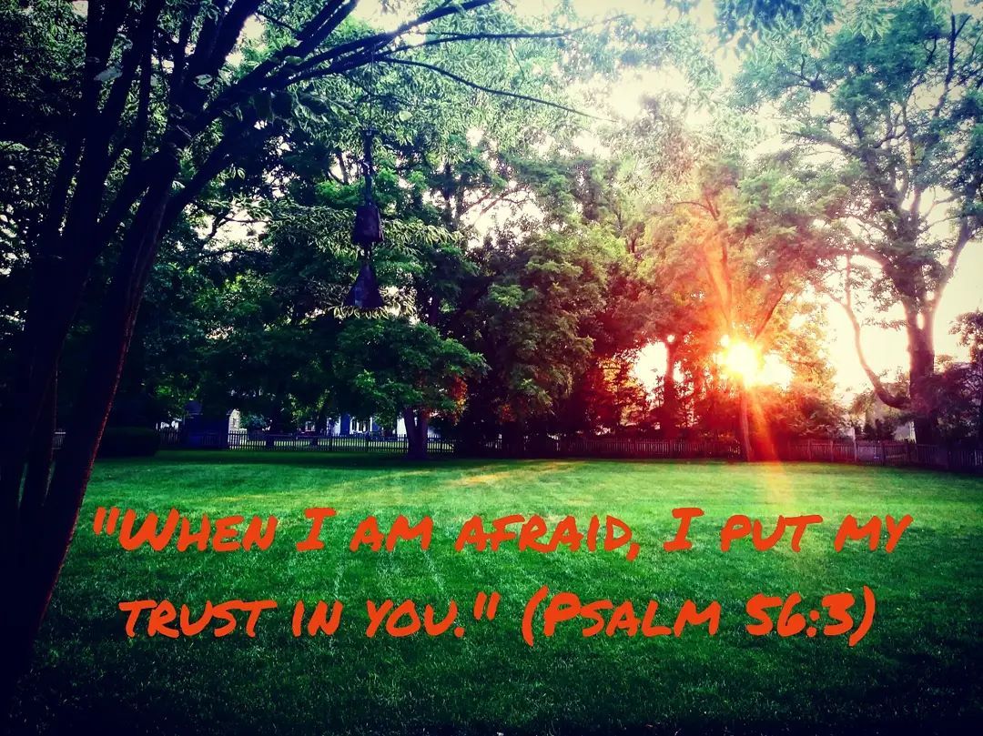 psalm afraid trust