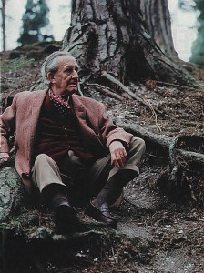 tolkien tree