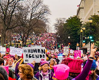 Ten Reasons Why The Women’s March Will Come To Nothing | Fr. Dwight Longenecker