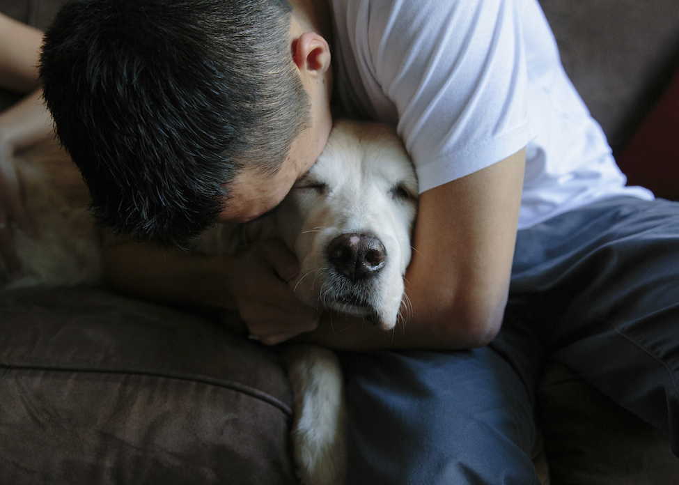 how animals teach us to love