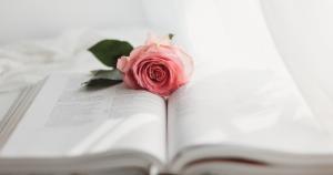 rose on bible