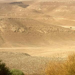 desert landscape. how nature sustains us. deriving joy and hope from nature. 