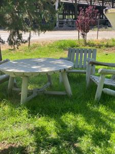 Table and Chairs on Kibbutz Lawn