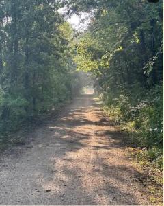 Nature trail