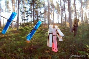 Helminenclothespins