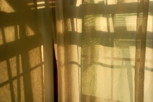 Morning light curtains
