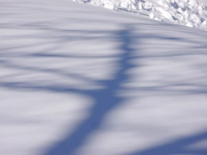 snow shadow by Rebecca Siegel on flirck