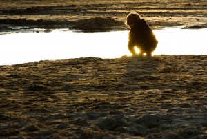 Golden boy by steven powell on Flickr