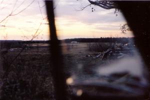 by lynn Dombrowski on flickr