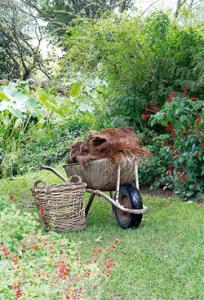 Clean yard