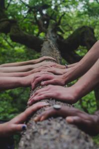 https://unsplash.com/photos/a-group-of-people-holding-hands-on-top-of-a-tree-DNkoNXQti3c