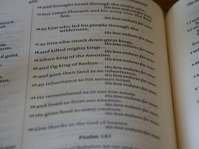Open Bible with highlighted text and natural light showing God's faithfulness