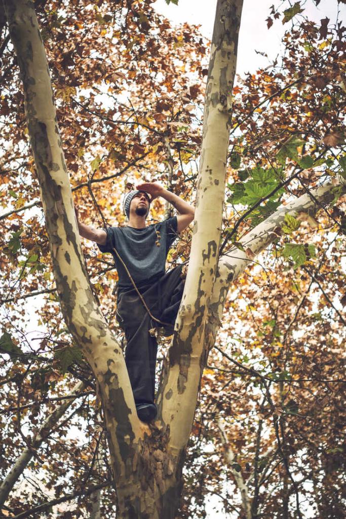 https://www.westend61.de/en/photo/EHF00712/low-angle-view-of-young-man-looking-away-while-standing-on-tree-trunk
