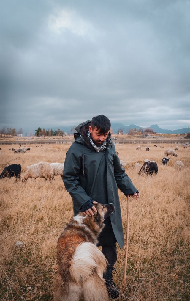 https://images.pexels.com/photos/14606425/pexels-photo-14606425.jpeg
