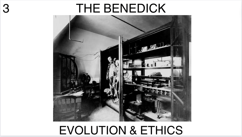 The Benedick III: Evolution And Ethics. | Shawn Higgins