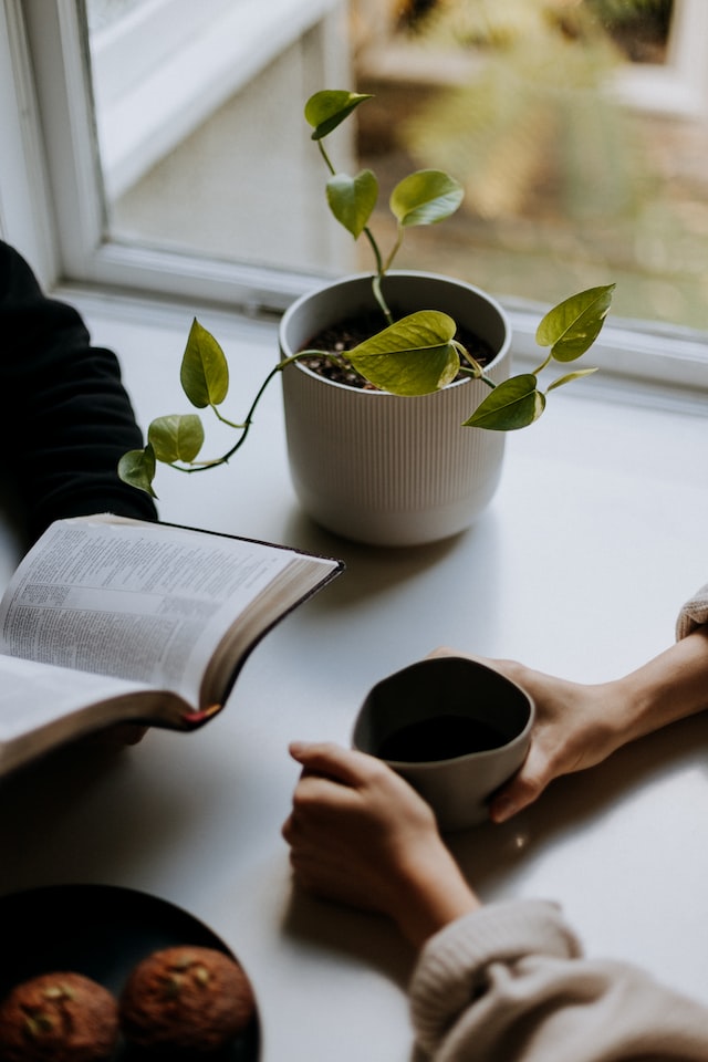 reading Bible together