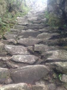 Stairway to the Sun Gate of Machu Picchu