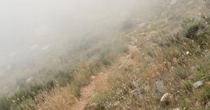 A path cutting through tall grass in the fog.