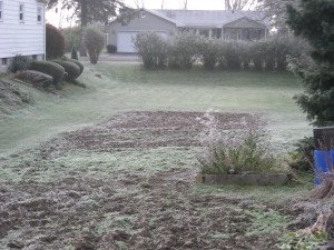 My dad's garden, fallow after frost