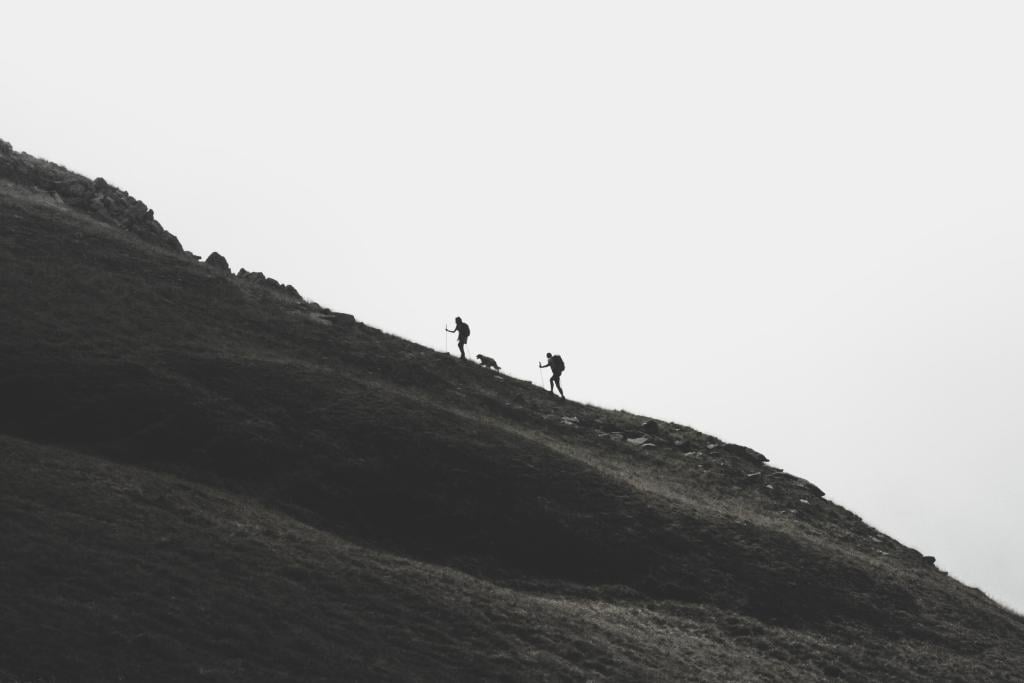 Image of people climbing uphill at a step grade.