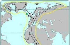 East Atlantic Flyway