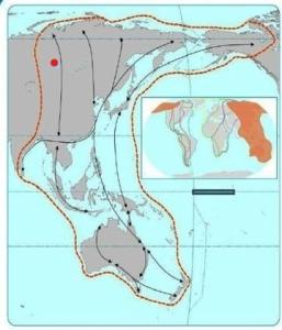 bird map australasia