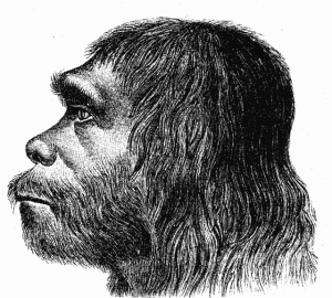 neanderthal rendering