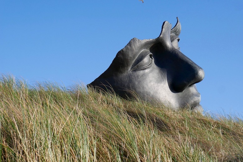 Zen statue of a face on the winter grass