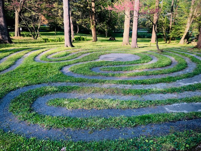 Labyrinth path winding among the trees