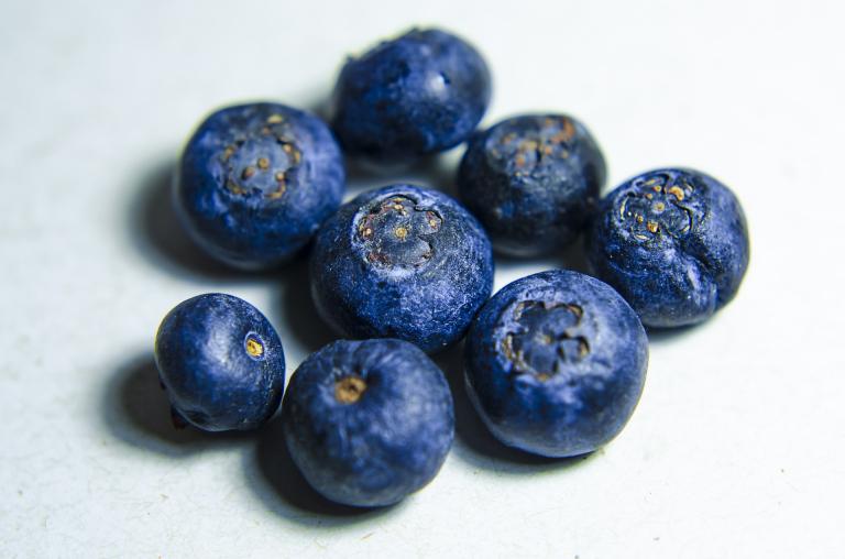 blueberries-1838747_1920