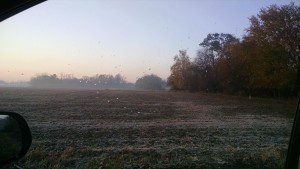 photo frost field