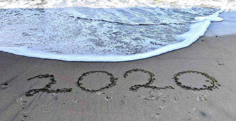 2020: Epidemics, Evangelicals, and Everything Else - Vimarsana News