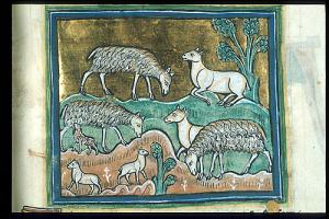 A medieval drawing of sheep grazing
