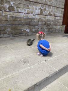 a girl in a blue dress kneeling by a grey cat