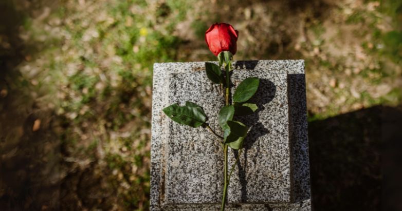 Grave with a rose flower for the dead